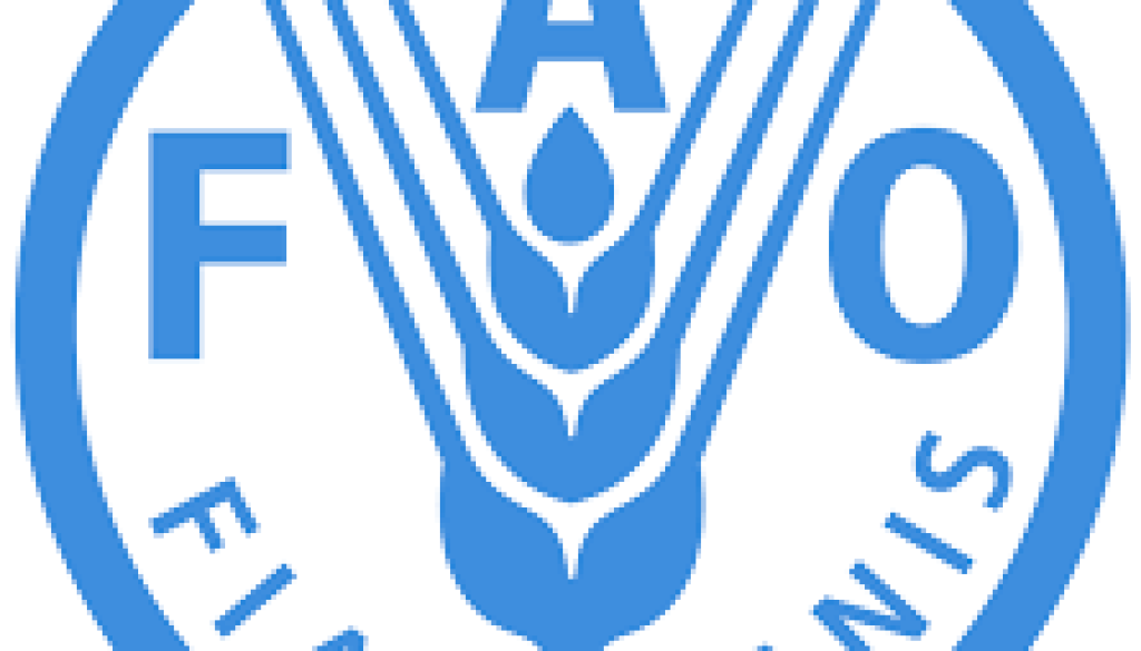 National Nutrition Facilitator Vacancy-Job Ref: WJLSFAO/2307/2025816