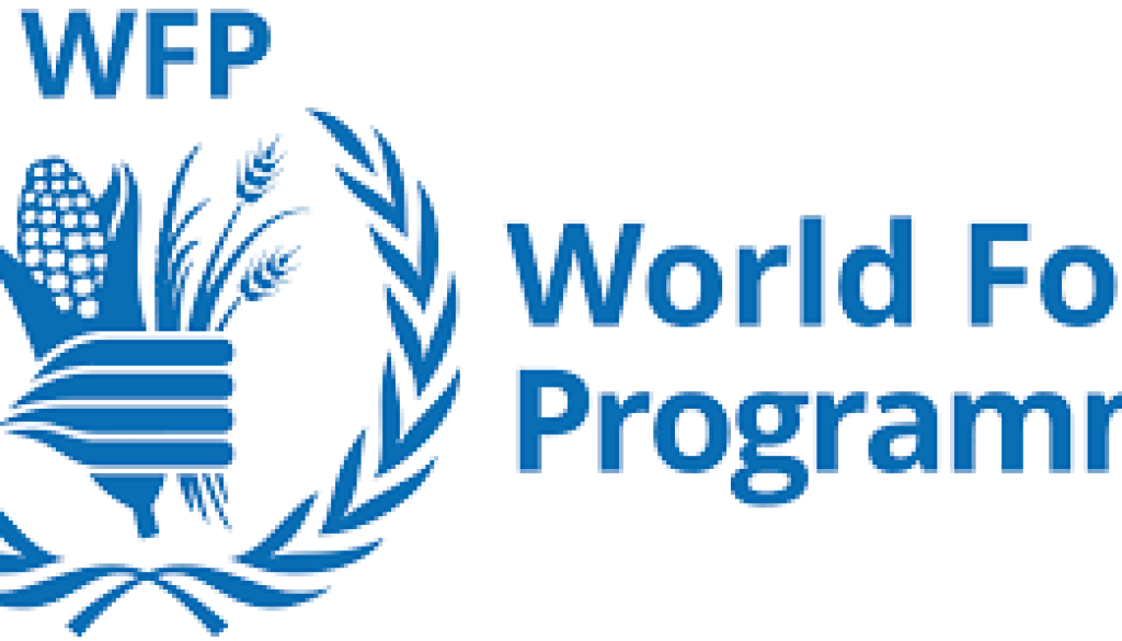 M&E & Data Ecosystems Consultant Vacancy-Job Ref: WJLSWFP/2605/2025802